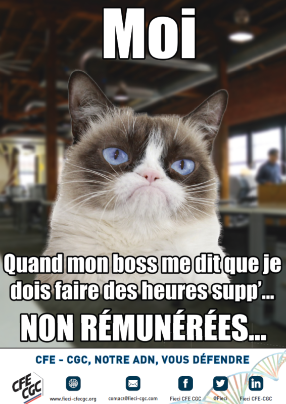 104_heures_supp_chat